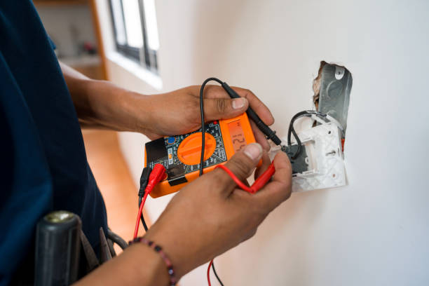 Best Emergency Electrician Near Me  in Ovid, MI