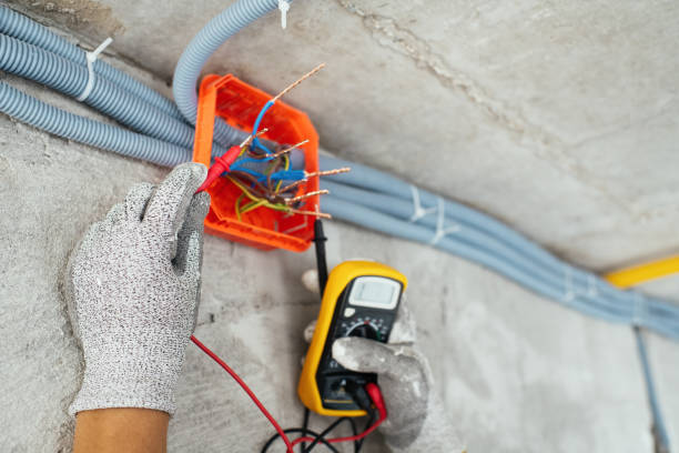Best Electrician for Home Renovation  in Ovid, MI
