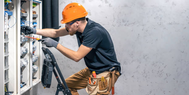 Best Electrical Rewiring Services  in Ovid, MI